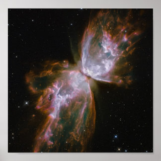 Butterfly Emerges from Stellar Demise in Planetary Poster