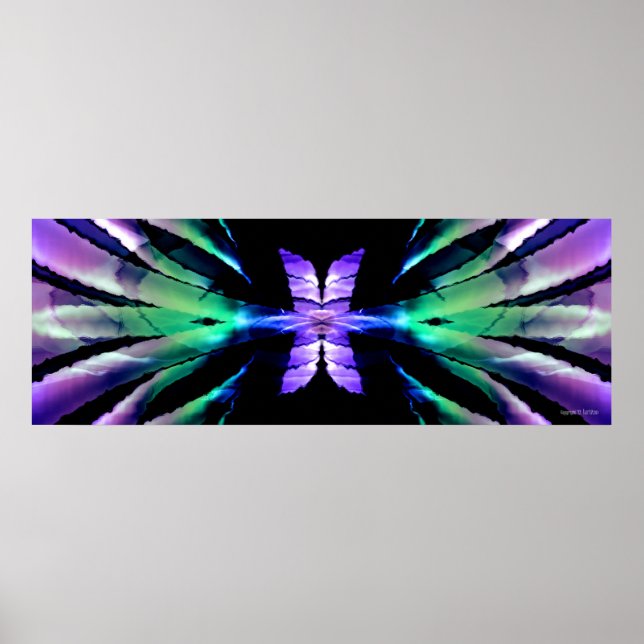Butterfly Expanse Poster (Front)