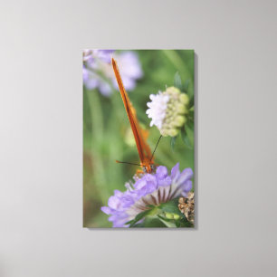 Butterfly Eyes Canvas Print