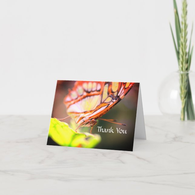 Butterfly Face Nature Thank You  Card (Front)