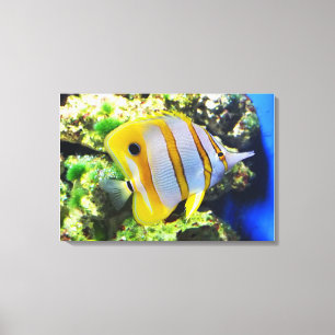 Butterfly fish animal canvas print