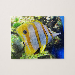Butterfly fish jigsaw puzzle