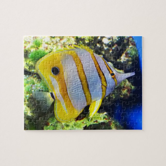 Butterfly fish jigsaw puzzle (Horizontal)