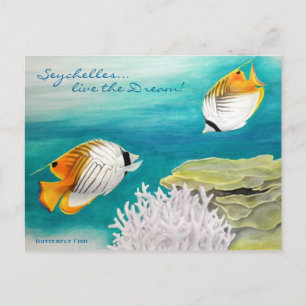Butterfly fish postcard