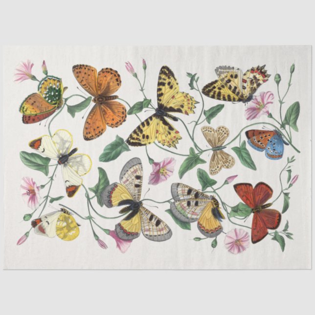 Butterfly Flowers Moths Vintage Rustic Decoupaging Tissue Paper (Front)