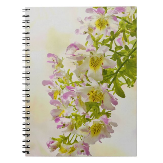 Butterfly Flowers Notebook (Front)
