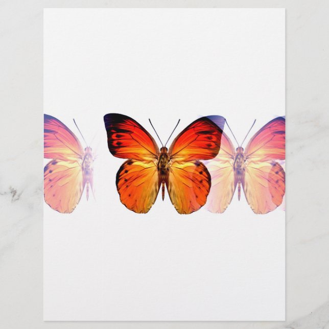 Butterfly Flyer (Front)