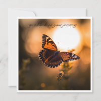 Butterfly flying into the sunset, customizable