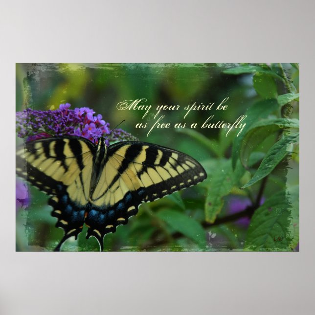 Butterfly Free Spirit Poster Print (Front)