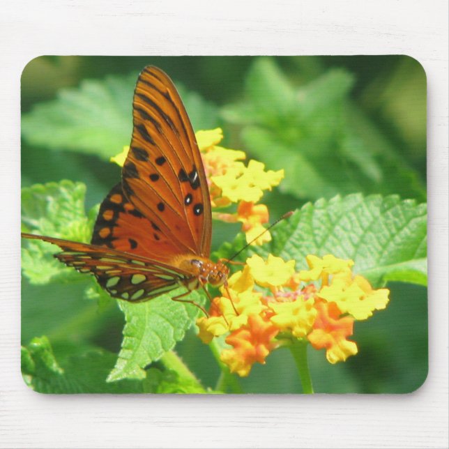 Butterfly Garden Mouse Pad (Front)