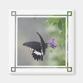 Butterfly Garden Square Magnet