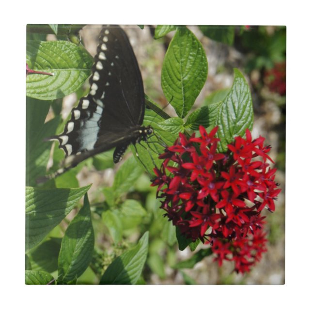 Butterfly Garden Tile (Front)