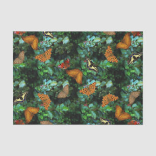 Butterfly Garden Tissue Paper