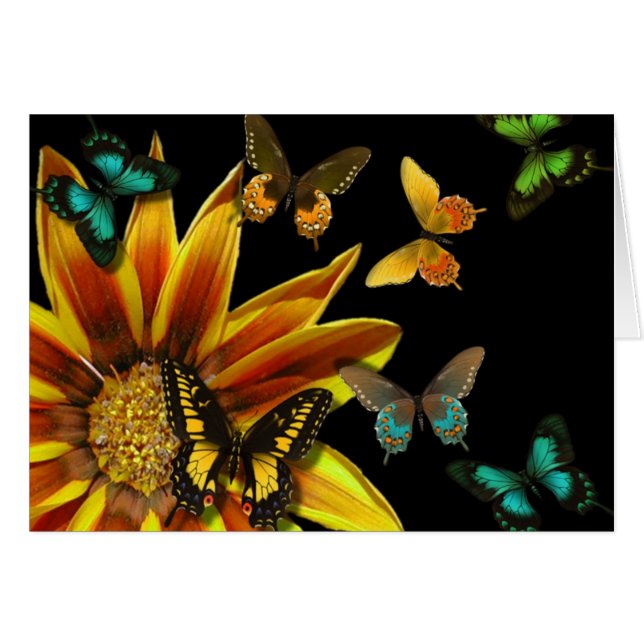Butterfly Gardens (Front Horizontal)