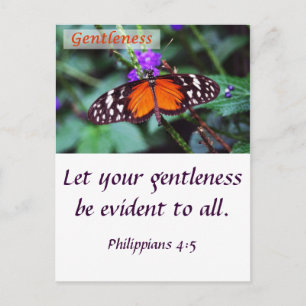 Butterfly - Gentleness Postcard