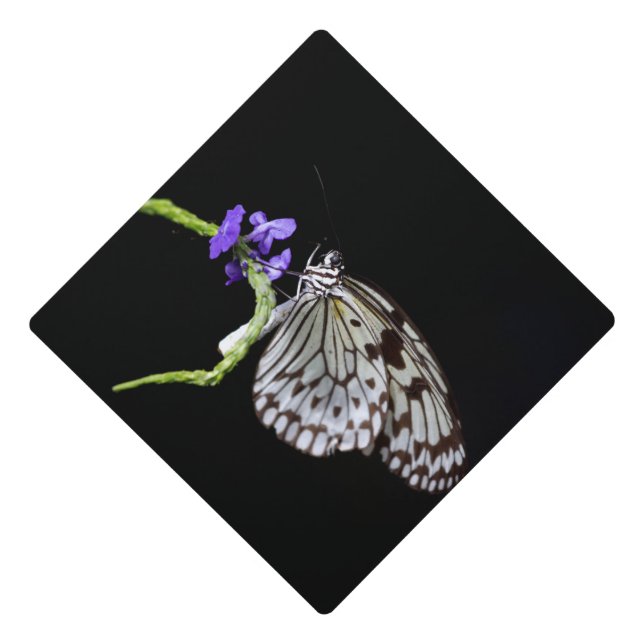 Butterfly Graduation Cap Topper (Front)
