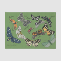 butterfly green 18 lb tissue paper