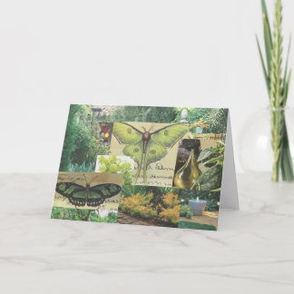 Butterfly Greeting Card