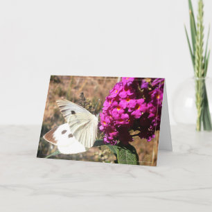 Butterfly. Greeting card. Card