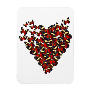 Butterfly heart magnet