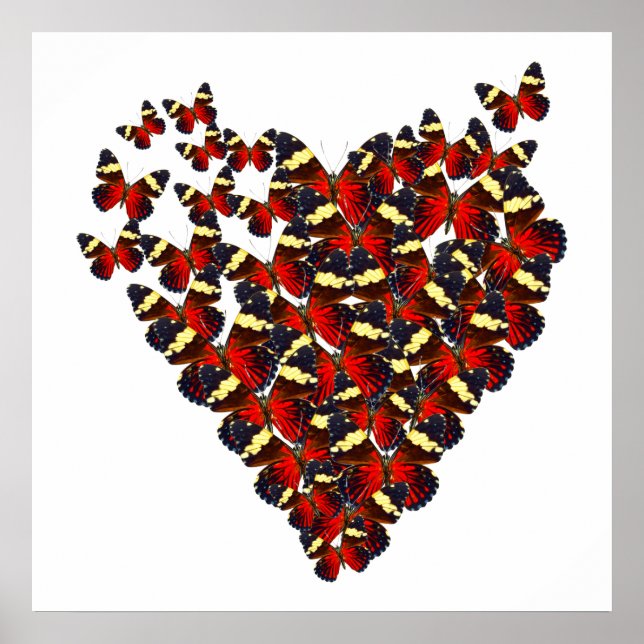 Butterfly heart poster (Front)