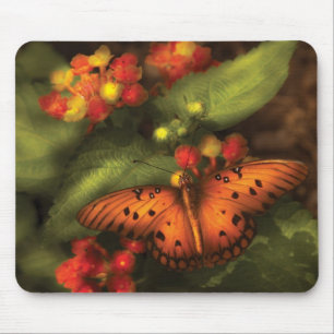 Butterfly - Heliconius Mouse Pad