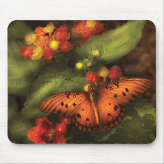 Butterfly - Heliconius Mouse Pad