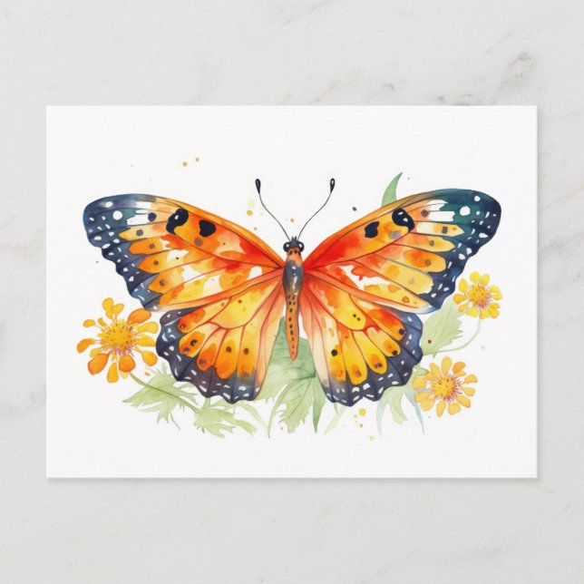 Butterfly illustration   postcard (Front)