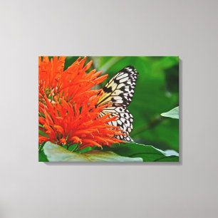 Butterfly In Bloom Canvas Print