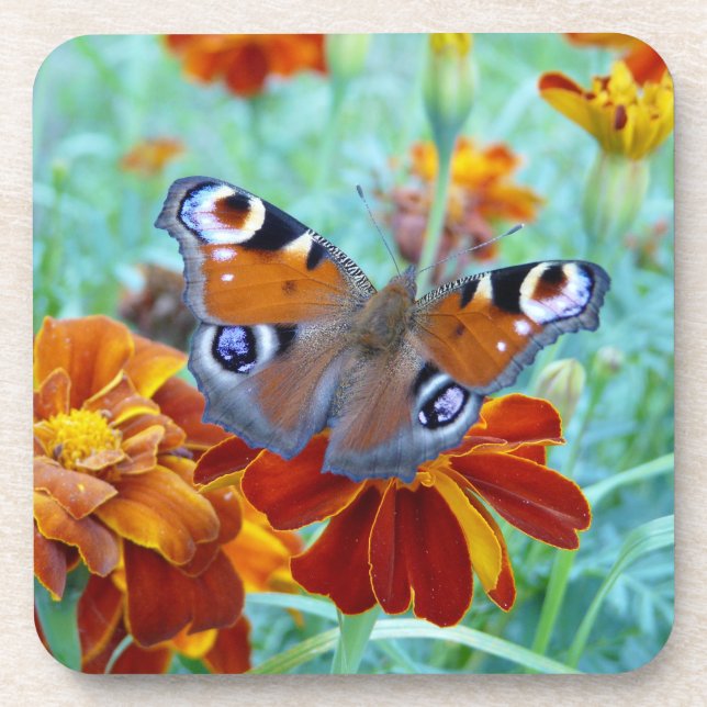 Butterfly In Colourful Garden Coaster (Front)