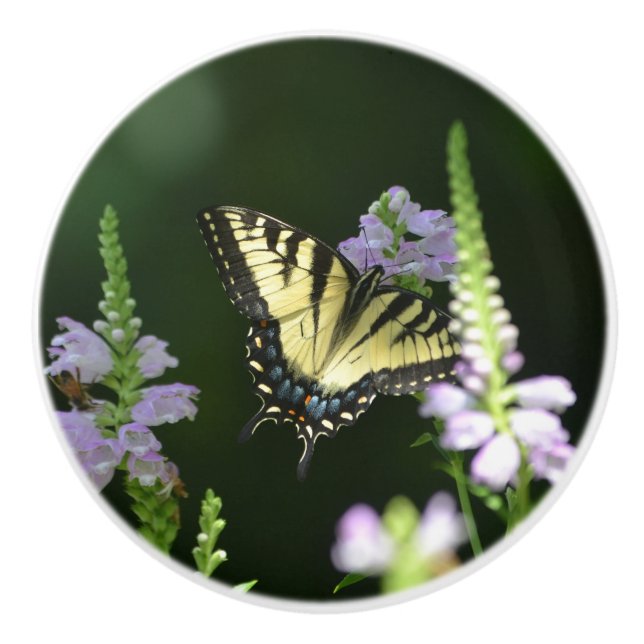 Butterfly in Garden Ceramic Knob (Front)