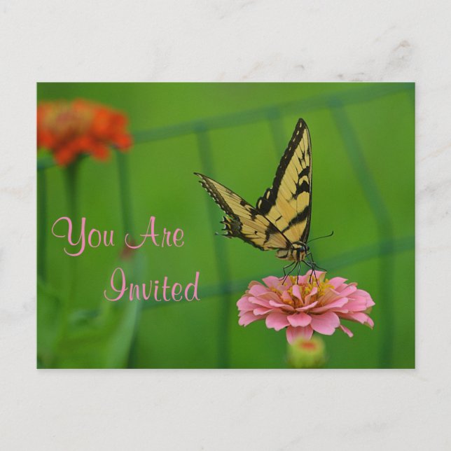 Butterfly In Garden Invitation Postcard (Front)