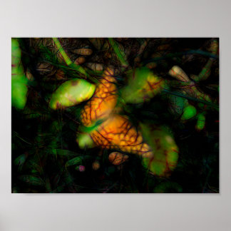 Butterfly in Radiance and Glowing Edges Poster