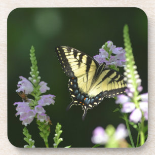 Butterfly In The Garden Coaster
