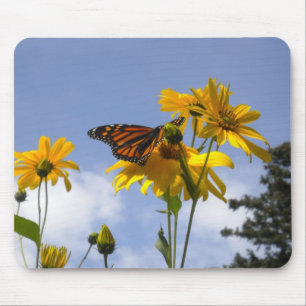 Butterfly in the sky mouse pad