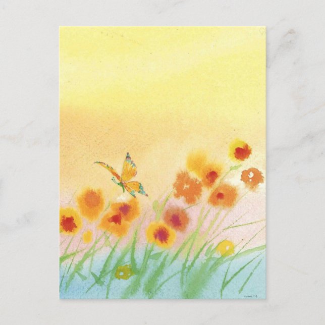 butterfly in wild field postcard (Front)