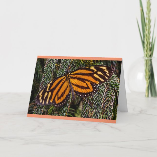 Butterfly Inspiration Card (Front)