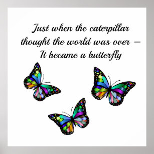 Butterfly Inspirational Encouragement Quote Poster