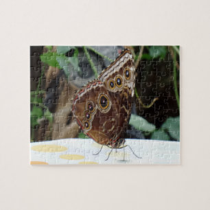 Butterfly Jigsaw Puzzle