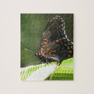 butterfly jigsaw puzzle