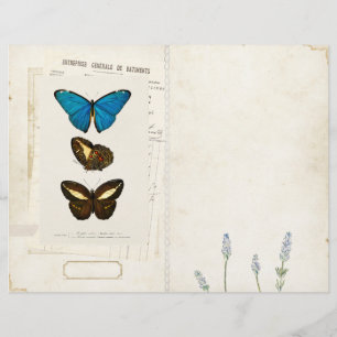 Butterfly Junk Journal Page Front/Back Vintage 