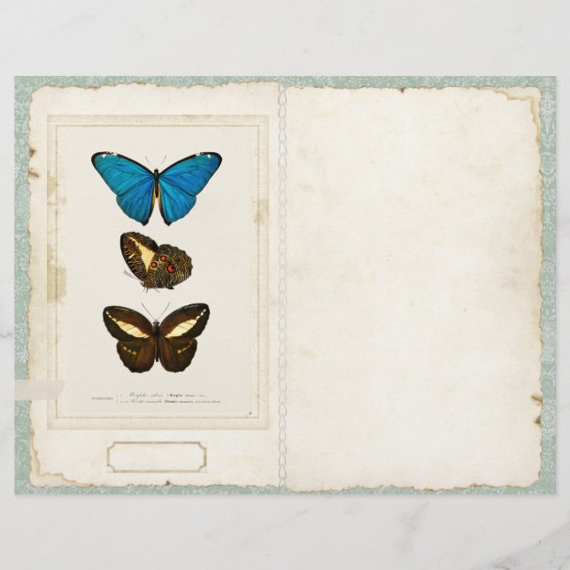 Butterfly Junk Journal Page Front/Back Vintage  (Front)