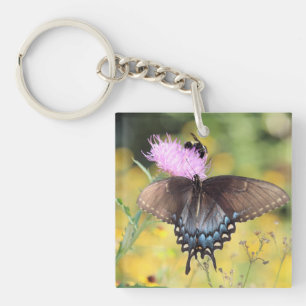 Butterfly    keychain