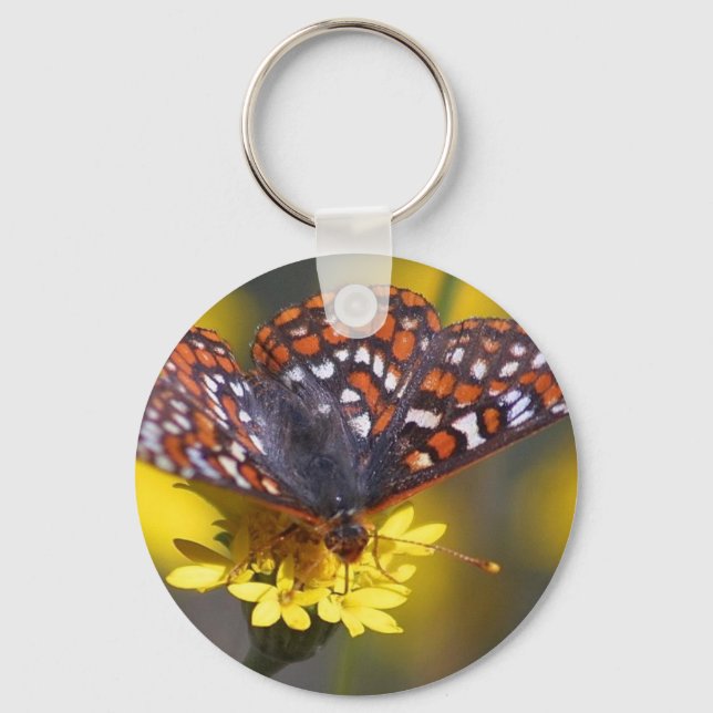 butterfly keychain (Front)