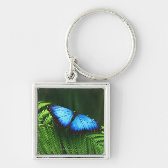 butterfly keychain (Front)