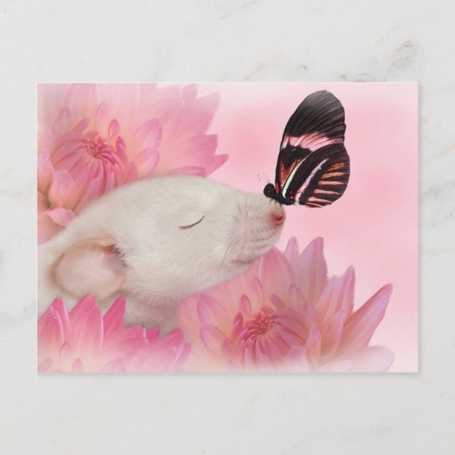 Butterfly Kisses Postcard (Front)