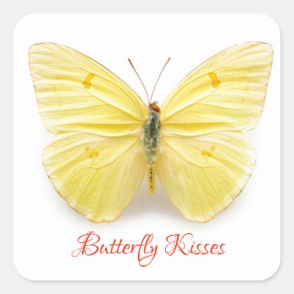 Butterfly Kisses Sticker