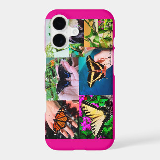 Butterfly Life
