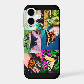 Butterfly Life