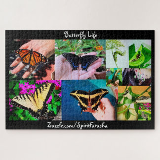 Butterfly Life Puzzle